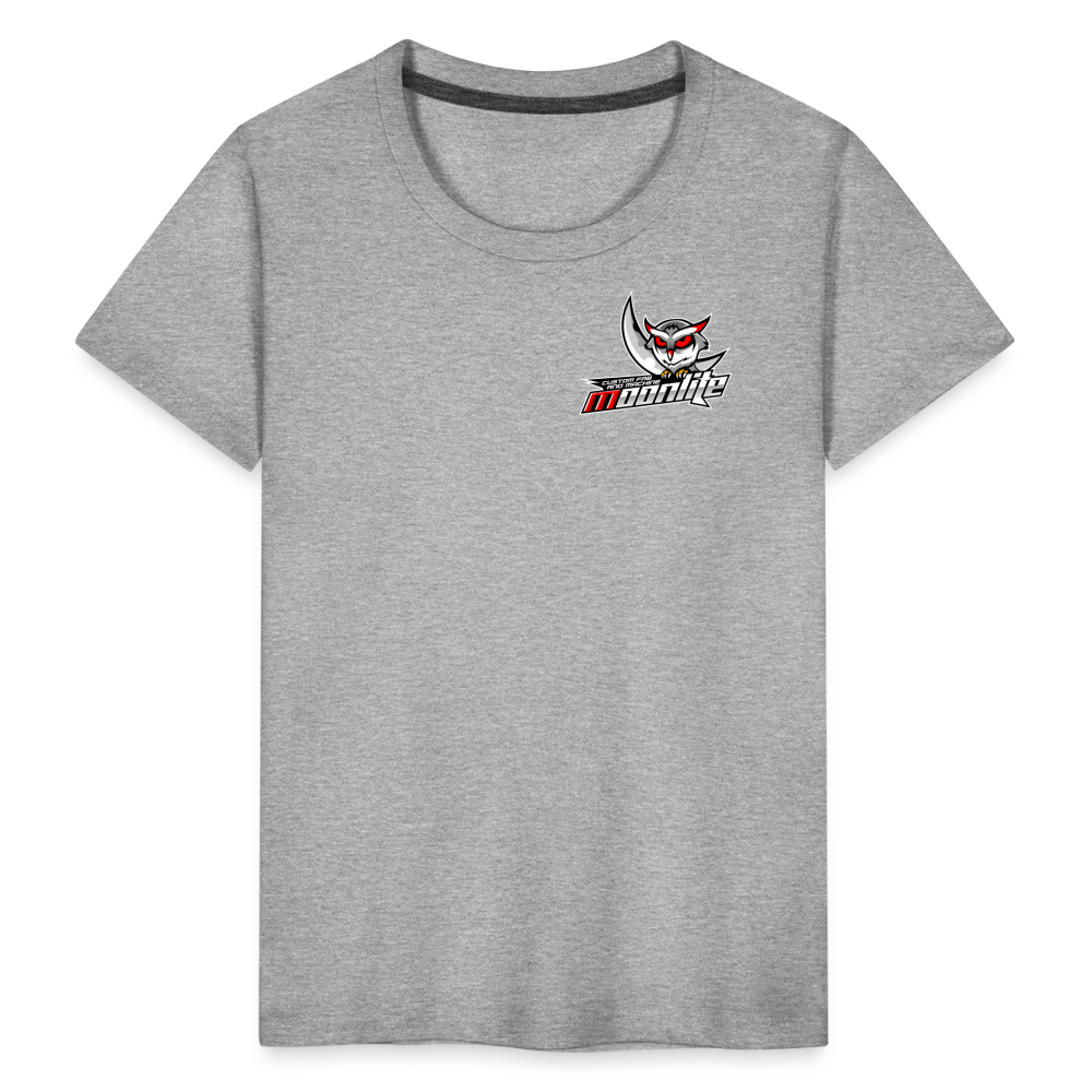 Toddler Premium T-Shirt - heather gray